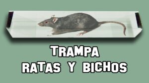 Trampa para Ratas