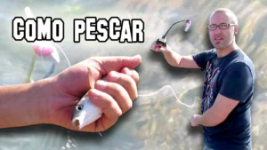 Cómo Pescar
