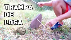 Trampa De Losa
