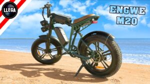 ENGWE M20